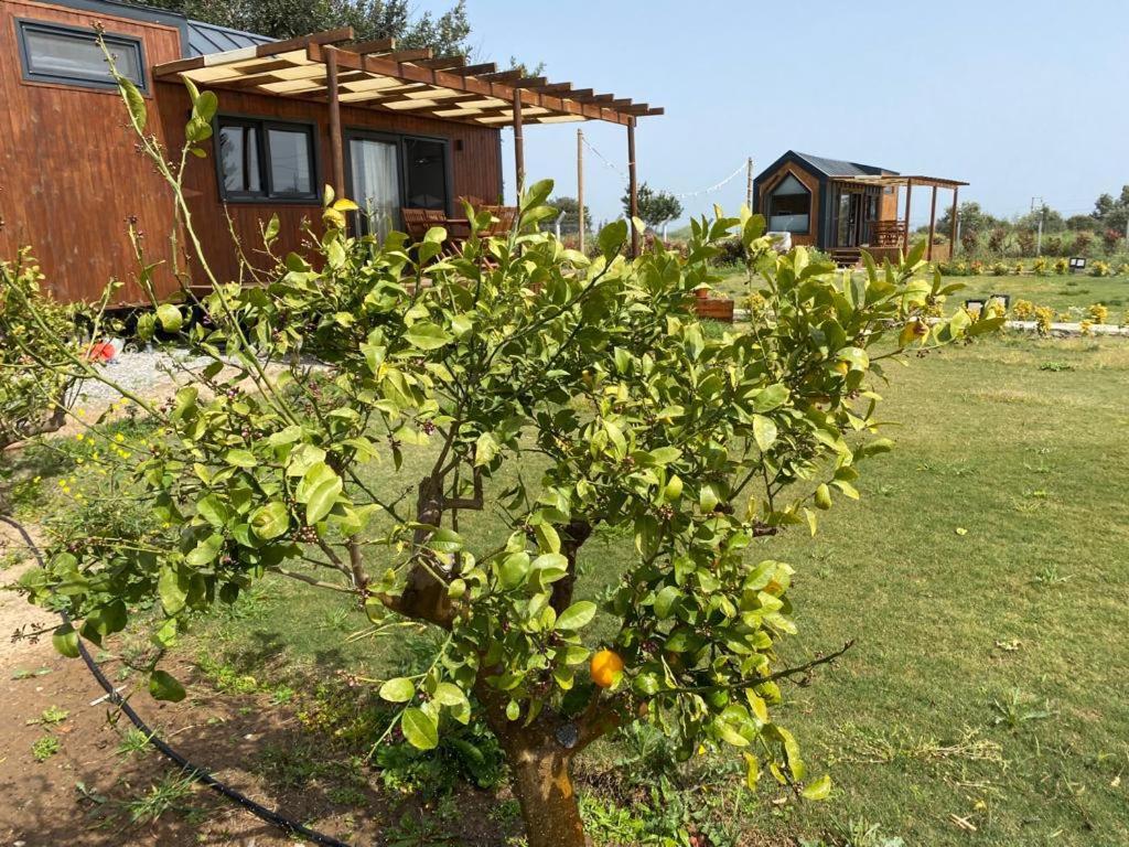 Radika Datca Kızlanköy Exterior photo